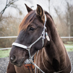 Limited WINTER EDITION! "Shades of Grey" Flecht-Reithalfter Twotimes